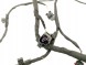 Volkswagen OE 571971095BR, DWP465554OE Джгут проводів переднього бампера VW Tiguan 571971095BR