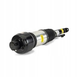 Arnott AS-230 10 2x повітряні амортизатори Arnott FRONT L+R для MERCEDES-BENZ CLS (C219)