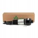 Arnott AS-230 10 2x повітряні амортизатори Arnott FRONT L+R для MERCEDES-BENZ CLS (C219)