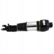 Arnott AS-230 10 2x повітряні амортизатори Arnott FRONT L+R для MERCEDES-BENZ CLS (C219)