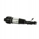 Arnott AS-230 10 2x повітряні амортизатори Arnott FRONT L+R для MERCEDES-BENZ CLS (C219)