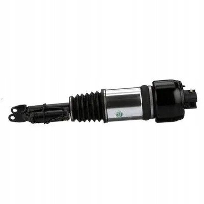 Arnott AS-230 10 2x повітряні амортизатори Arnott FRONT L+R для MERCEDES-BENZ CLS (C219)