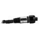 Arnott AS-230 10 2x повітряні амортизатори Arnott FRONT L+R для MERCEDES-BENZ CLS (C219)