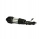 Arnott AS-230 10 2x повітряні амортизатори Arnott FRONT L+R для MERCEDES-BENZ CLS (C219)