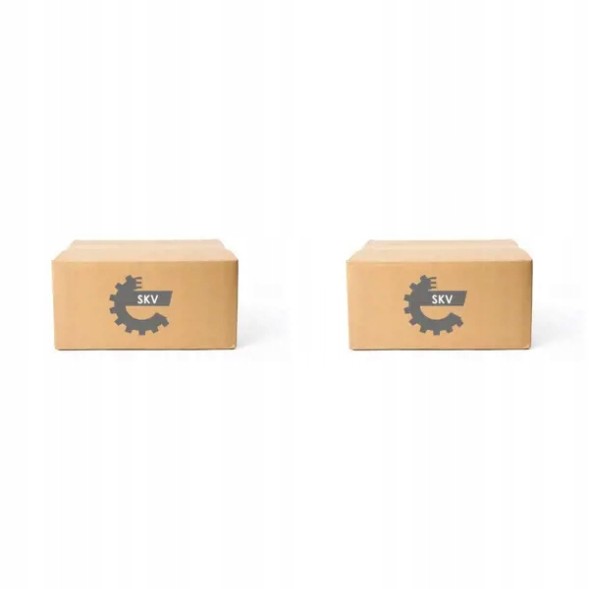 ESEN SKV 45SKV28 21 2X гальмівні затискачі esen skv передні л+п для austin, rover mini ii, mini