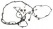 Volkswagen OE 11A971095AS, DWP475714OE Джгут проводів переднього бампера VW ID.4 11A971095AS