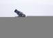 Bosch 0 445 110 351 Інжектор 0 445 110 351 bosch альфа romeo citroen
