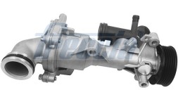 WP0634 FRECCIA Водяний насос