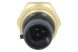 V-maxzone Part VIC-461137 Датчик тиску масла для човнового мотора PARSUN