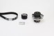 Continental CT1049WP1 Комплект ременя грм + водяний насос continental ctam con ct1049wp1