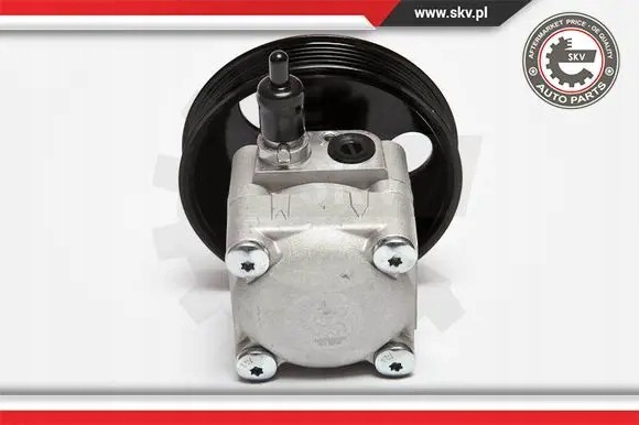 ESEN SKV 10SKV010 Насос гідропідсилювача 10скв010 esen skv