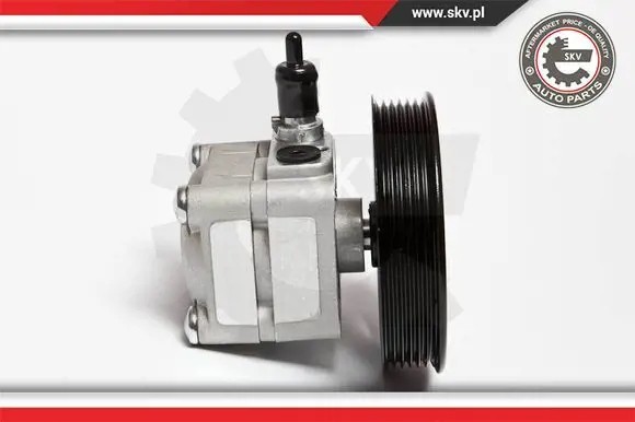 ESEN SKV 10SKV010 Насос гідропідсилювача 10скв010 esen skv
