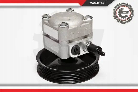 ESEN SKV 10SKV010 Насос гідропідсилювача 10скв010 esen skv