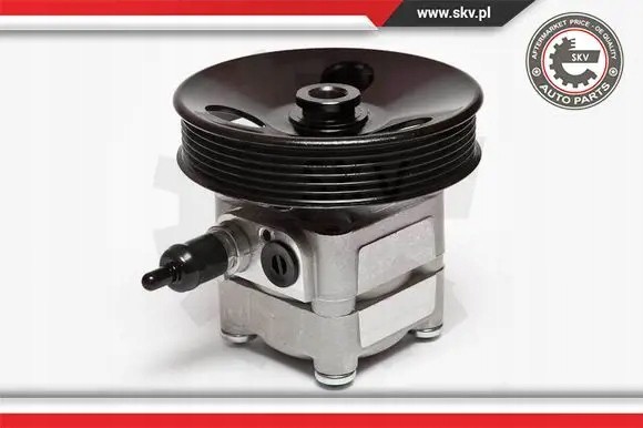 ESEN SKV 10SKV010 Насос гідропідсилювача 10скв010 esen skv