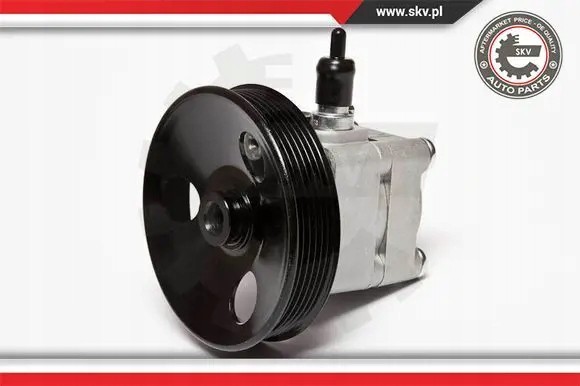 ESEN SKV 10SKV010 Насос гідропідсилювача 10скв010 esen skv