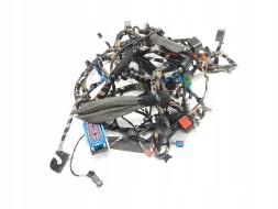Ford OE Зв'язка проводів Ford OE 5M5T-14401-AJE 1466672