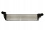 Thermotec DAR024TT Охолоджувач впускного повітря thermotec dar024tt