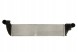Thermotec DAR024TT Охолоджувач впускного повітря thermotec dar024tt