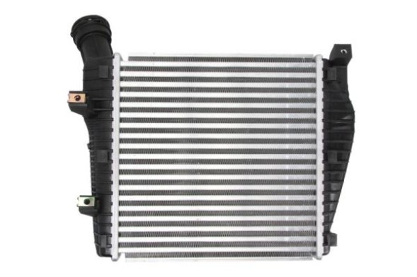 Thermotec DAN001TT Охолоджувач впускного повітря thermotec dan001tt