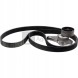 Schaeffler INA 529 4005 10 Комплект багатоклинових ременів