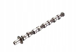 Kolbenschmidt 50007089 Вал грм випускна сторона випускні клапани citroen c5 і c5 ii c5