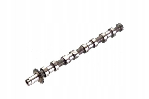 Kolbenschmidt 50007089 Вал грм випускна сторона випускні клапани citroen c5 і c5 ii c5