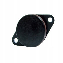 PiterParts PPZK02-P/100 Заглушка колектора 33 мм BMW E46 E60 E90 PL 100 шт.