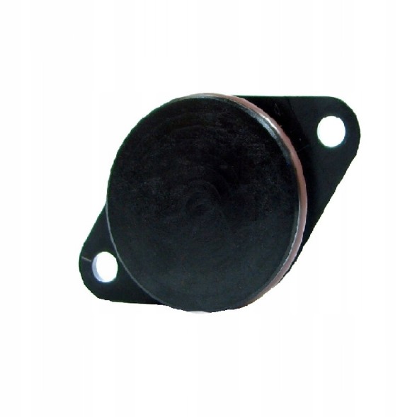 PiterParts PPZK02-P/100 Заглушка колектора 33 мм BMW E46 E60 E90 PL 100 шт.