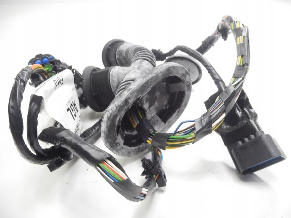 Ford OE Жгут проводів Ford Focus I OE 1341325
