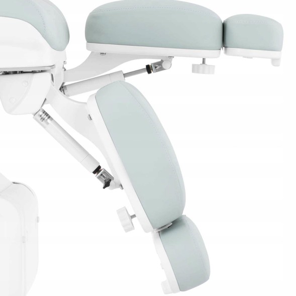 Китай WEW-SC-HP-1018719 Косметологічне крісло Physa ROME для подології, тату, педикюру, СПА, фісташкове