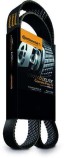 6PK2575 CONTINENTAL Пас привідний з довжиною кола понад 240см