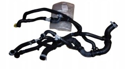 Renault OE 215018402R Oe 215018402r renault водяний шнур r master iii 2.3dci movano b opel oe