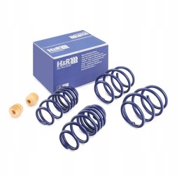 H&amp;R 28813-1 Нижні пружини h&amp;r 28813-1 передня вісь задня вісь для mini хетчбек