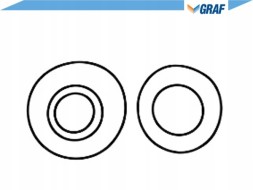 Graf GRAPA1011(iMOTO) Водяний насос vw 2,8tdi lt 02- graf + комплект водія #35