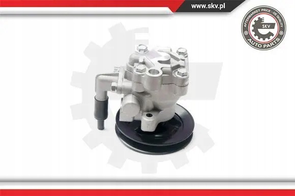ESEN SKV 10SKV204 Насос гідропідсилювача 10скв204 esen skv