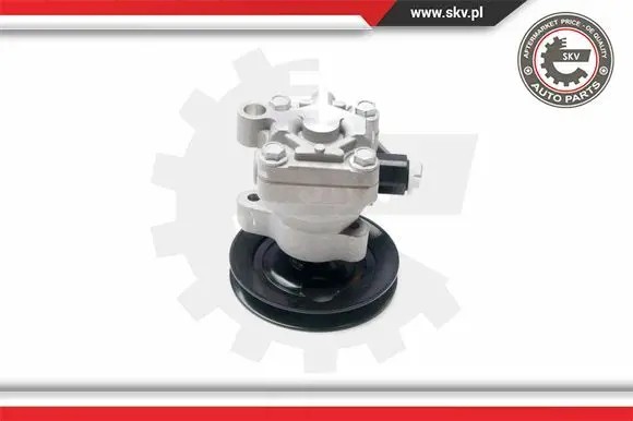 ESEN SKV 10SKV204 Насос гідропідсилювача 10скв204 esen skv