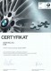 BMW OE Щиток середньої стійки P BMW OE 51438165328