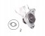 Spartan Parts SPP 100.050.0058 ВОДЯНИЙ НАСОС RENAULT MASTER 98+ 98-03 2.8DTI
