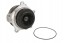 Thermotec WP-DF123* Водяний насос, охолодження двигуна