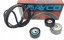 Dayco KPV023 НАБІР РЕМІНЦЯ PK FIAT ULYSSE LANCIA ZETA 2.0 JTD