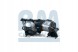 BM Catalysts BM91765H Каталізатор bm91765h bm catalysts audi vw a3 гольф