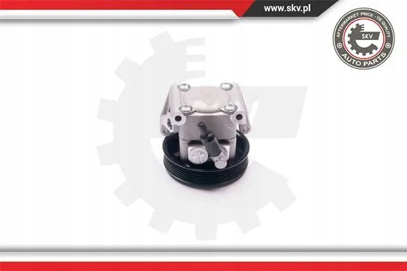 ESEN SKV 10SKV219 Насос гідропідсилювача 10скв219 esen skv