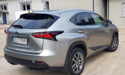 RIDER 5907466680645 БІЧНІ НАШИБКИ ДЛЯ LEXUS NX 2014-2021