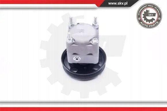 ESEN SKV 10SKV257 Насос гідропідсилювача 10скв257 esen skv