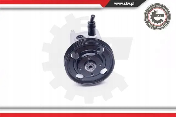ESEN SKV 10SKV257 Насос гідропідсилювача 10скв257 esen skv