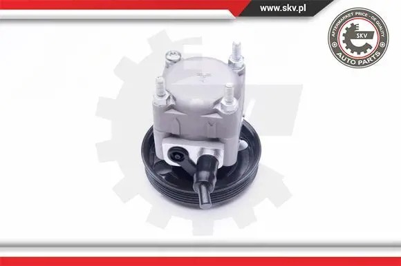 ESEN SKV 10SKV257 Насос гідропідсилювача 10скв257 esen skv