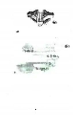 Шефлер І.НА 538 0660 10 Водяний насос 538 0660 10 ina