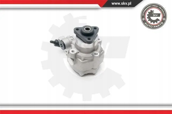 ESEN SKV 10SKV193 Насос гідропідсилювача 10skv193 esen skv