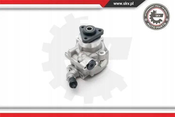 ESEN SKV 10SKV193 Насос гідропідсилювача 10skv193 esen skv