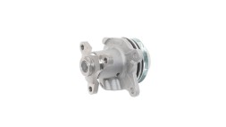 SKF VKPC 86132 Водяна помпа (насос охолодження)